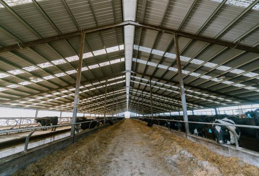 Piriti Farms Sheds 6