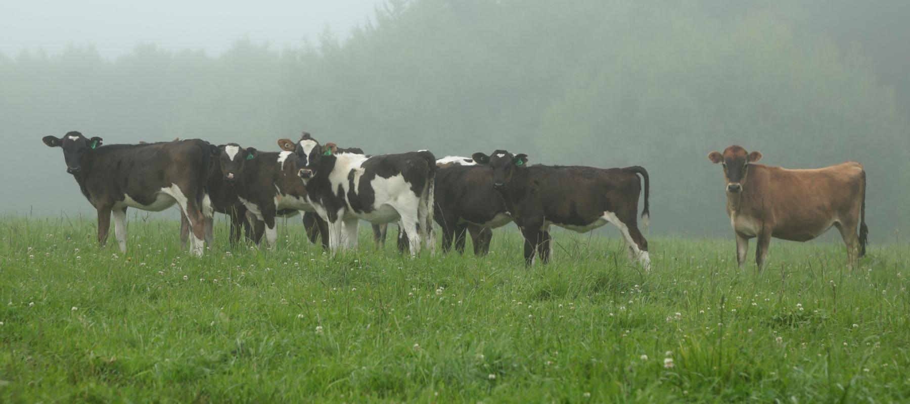 34e8935bad3b8befe205ba188c2fdc5223b7da0b (1)