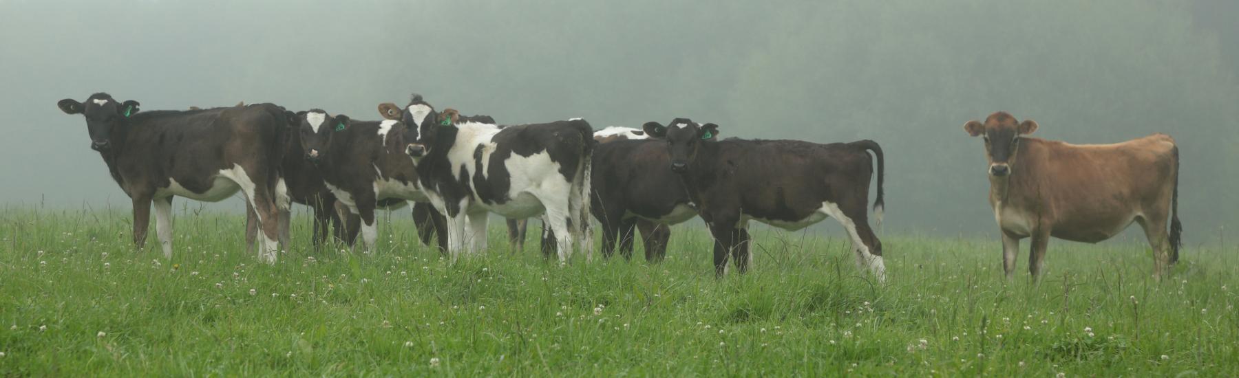 34e8935bad3b8befe205ba188c2fdc5223b7da0b (1)