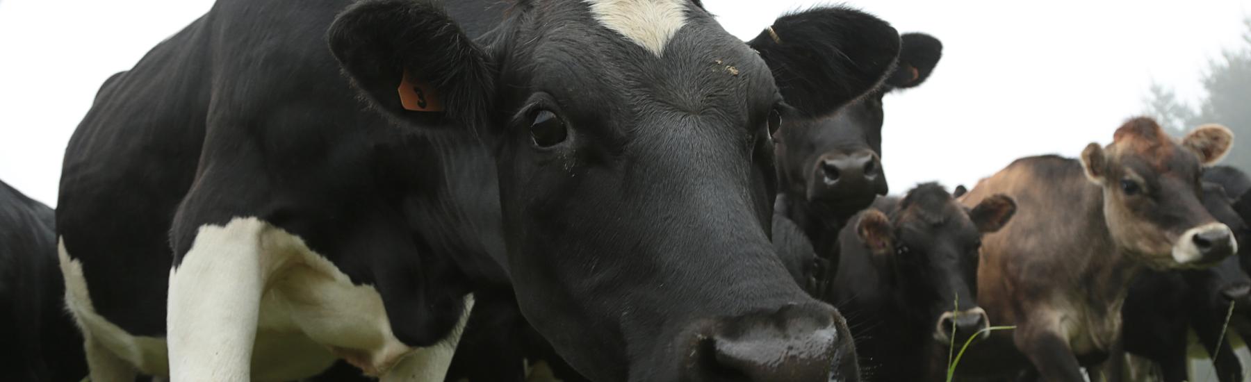 7862e42aae385a514790a1358d50d0a2d62290c4