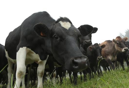 7862e42aae385a514790a1358d50d0a2d62290c4