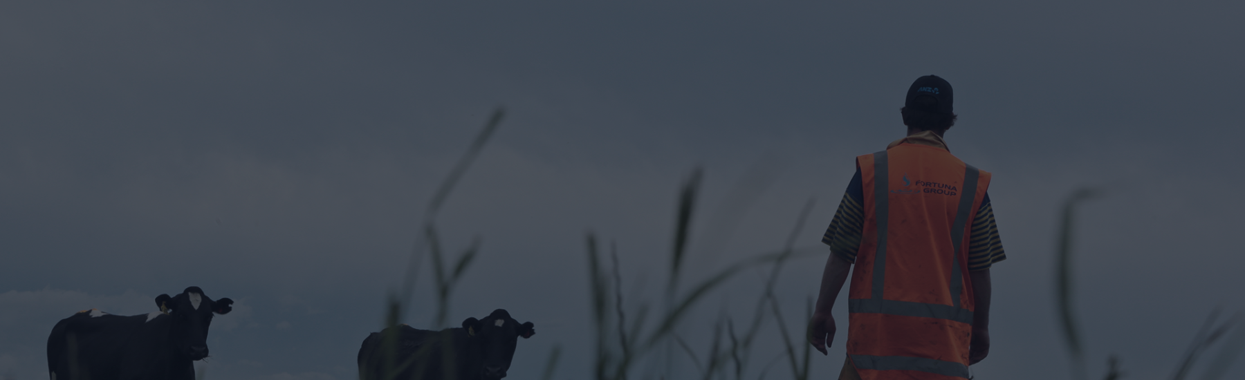 Fortuna Group 057 1 (1)